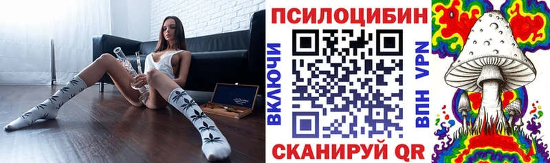 Галлюциногенные грибы Cubensis  Малоархангельск 